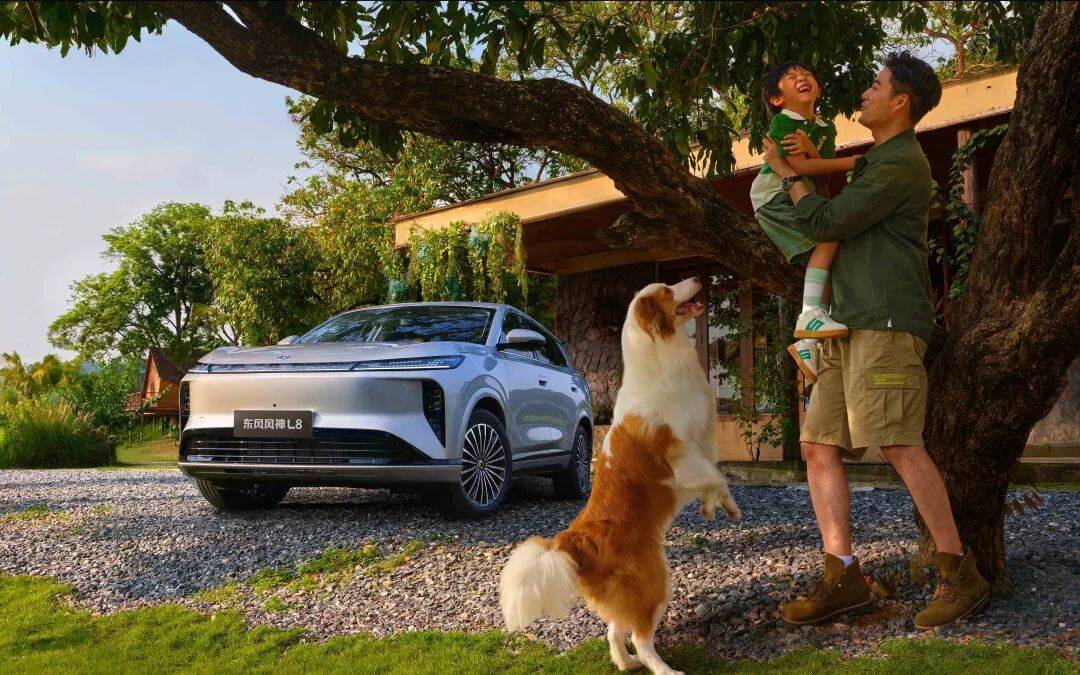 跳出价格内卷，东风风神如何用“反脆弱”逻辑重构主流市场竞争力