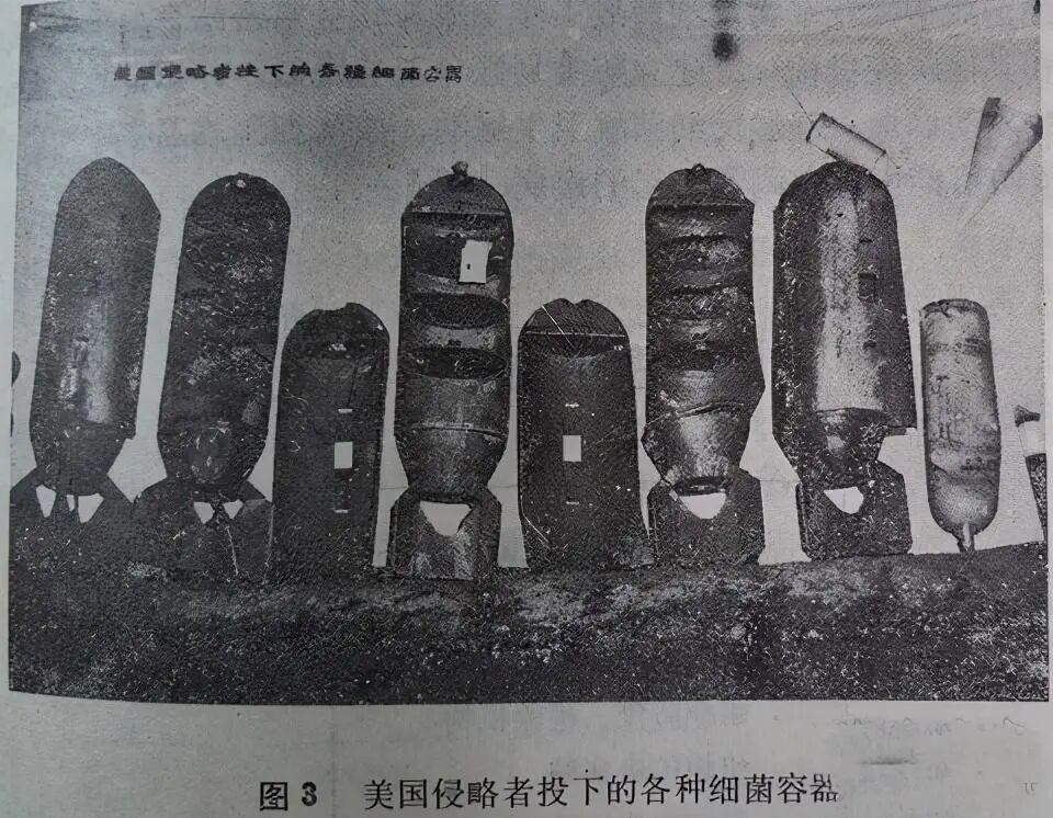 台北出现汉坦病毒致死病例！网友扒出竟早有预言，专家否认人传人